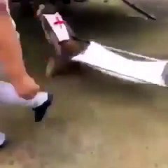 Lorsque des singes jouent aux ambulanciers, voici ce qui arrive. Hilarant !