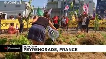 Proteste in Frankreich gegen Monsanto