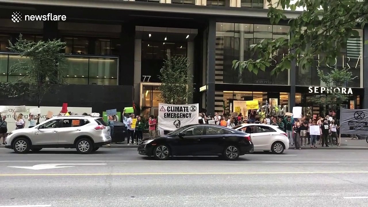 Extinction Rebellion protestors in Toronto enflamed by wildfires in Amazon rainforest