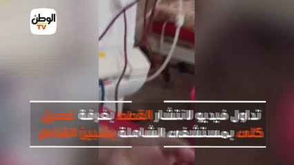 تداول فيديو لانتشار القطط بغرفة غسيل كلى بمستشفى الشاملة بشبين القناطر