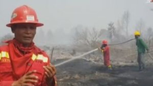 Kebakaran Lahan di Pelalawan Riau Berhasil Dipadamkan