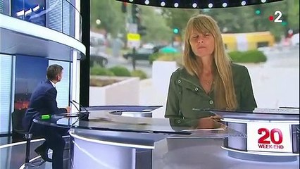 Amazonie : qui sont les responsables de l'incendie qui ravage la forêt ?