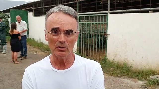 Hallan animales muertos y otros en mal estado en La Laguna