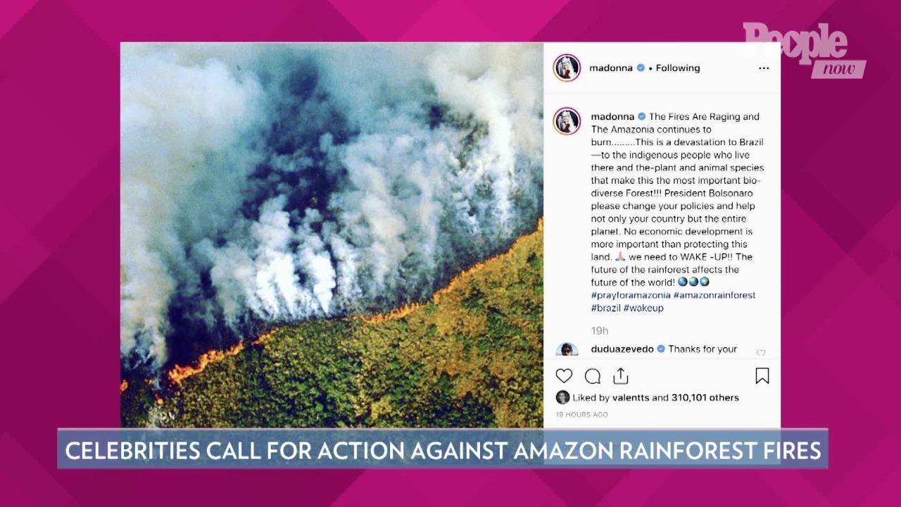 Amazon Rainforest Fires Threaten Climate Change...