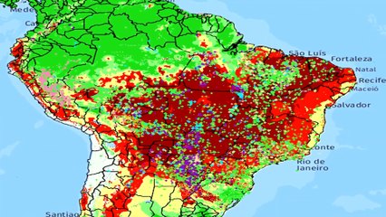  El AMAZONIA EN LLAMAS   ¿ En que Afecta al Mundo  Quienes son los RESPONSABLES