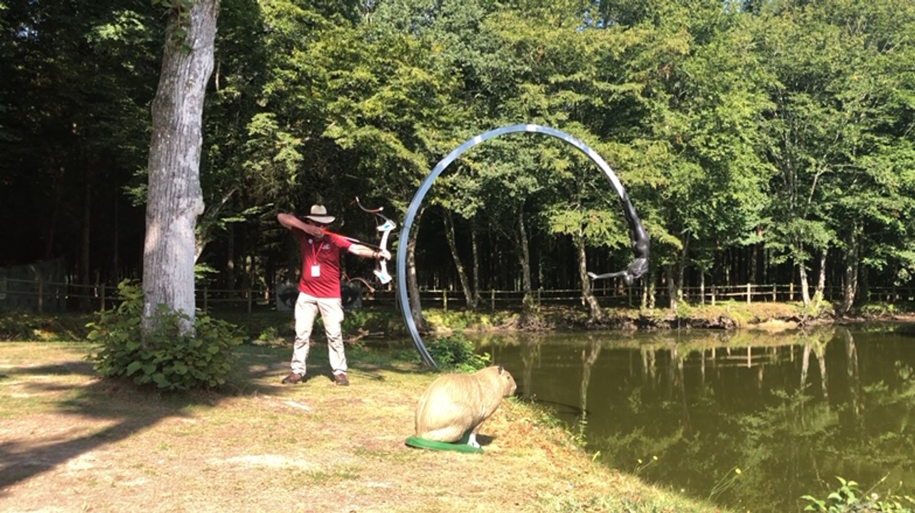 Championnat de France de tir à l’arc 3D