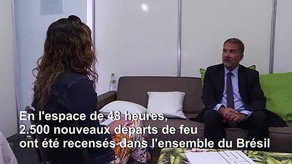 Brésil: les feux de forêt en Amazonie sont un "désastre": responsable ONU