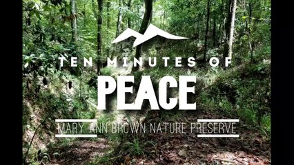 Ten Minutes of Peace #1 - Mary Ann Brown Nature Preserve in West Feliciana Parish