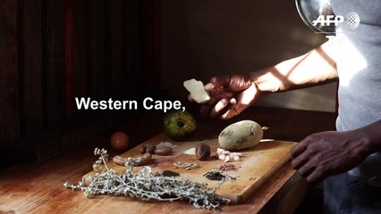 Scientist wants to make ice cream with an African twist