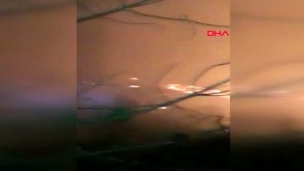 ADANA Kozan'da 5 dönüm kızılçam kül oldu