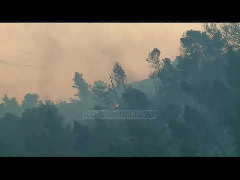 Zjarre pranë Shëngjinit/ Flakët dogjen zonën e pyllëzuar dhe largojnë pushuesit