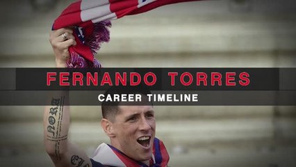Fernando Torres - Perjalanan Karir