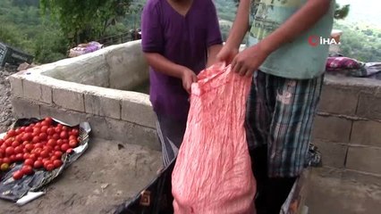 Hatay'da salça sezonu açıldı