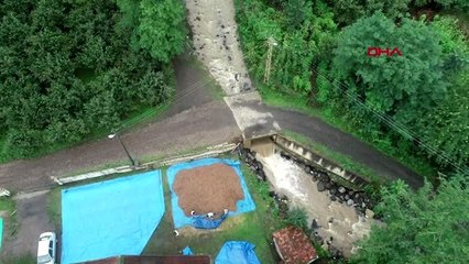 Ordu'da sağanak fındığı vurdu