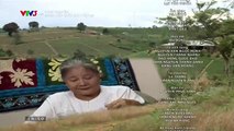 Đánh Cắp Giấc Mơ Tập 25 -- Phim Việt Nam VTV3 - Phim Danh Cap Giac Mo Tap 26 - Phim Danh Cap Giac Mo Tap 25
