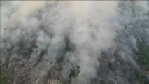 Miles de brasileños protestan contra los incendios en la Amazonia