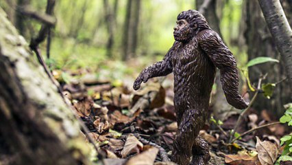 En la Edad de Piedra existía el canibalismo