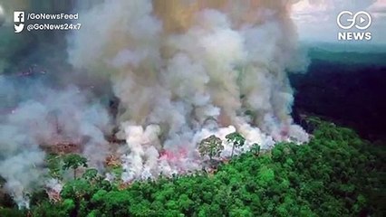 Bolsonaro Faces International Criticism For Amazon Fire