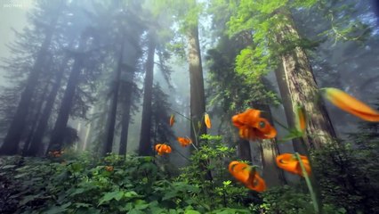 서원출장안마 -후불100%ョOiOV2671V8135｛카톡ZHF526｝-서원전지역출장안마 서원오피걸 서원출장마사지 서원출장안마 서원출장마사지 서원출장안마후기∥서원출장아로마 서원출장샵마사지