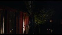 映画『ドミノ 復讐の咆哮』 本編解禁映像