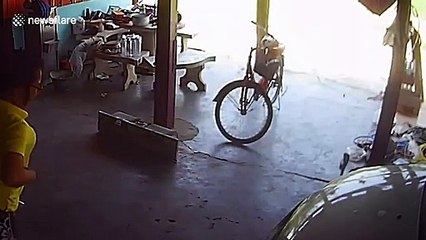 Heart-stopping moment Thai woman walks past rearing cobra in her driveway