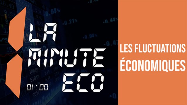 Qu'est ce que les fluctuations économiques?