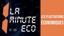 Qu'est ce que  les fluctuations économiques?
