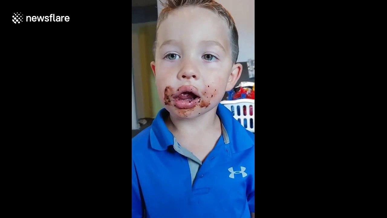 Four-year-old is adamant he didn't eat a cupcake yet has chocolate all around his mouth