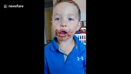 Four-year-old is adamant he didn't eat a cupcake yet has chocolate all around his mouth