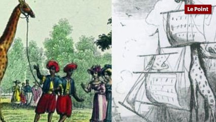 30 juin 1827 : le jour où la girafe Zarafa arrive à Paris
