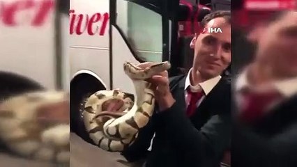 İstanbul’da piton paniği! Yolcular ne yapacağını şaşırdı