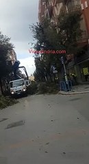 Tải video: Andria: lavori di potatura in Viale Roma, altezza viale Crispi - 5 febbraio 2020