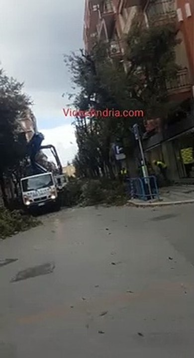 Andria: lavori di potatura in Viale Roma, altezza viale Crispi - 5 febbraio 2020
