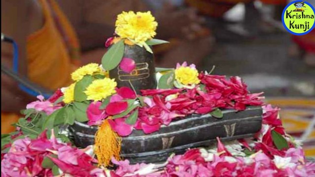 महाशिवरात्रि पर भोलेनाथ को कैसे करे प्रसन्न | Mahashivratri Ki Puja Kaise Kare | Shiv Puja Vidhi | Shiv Puja Me Kya Kya Lagta Hai |