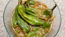 Mirch Masala Recipe ♡ Green Chilli Curry ♡ Pakistani Food Recipes