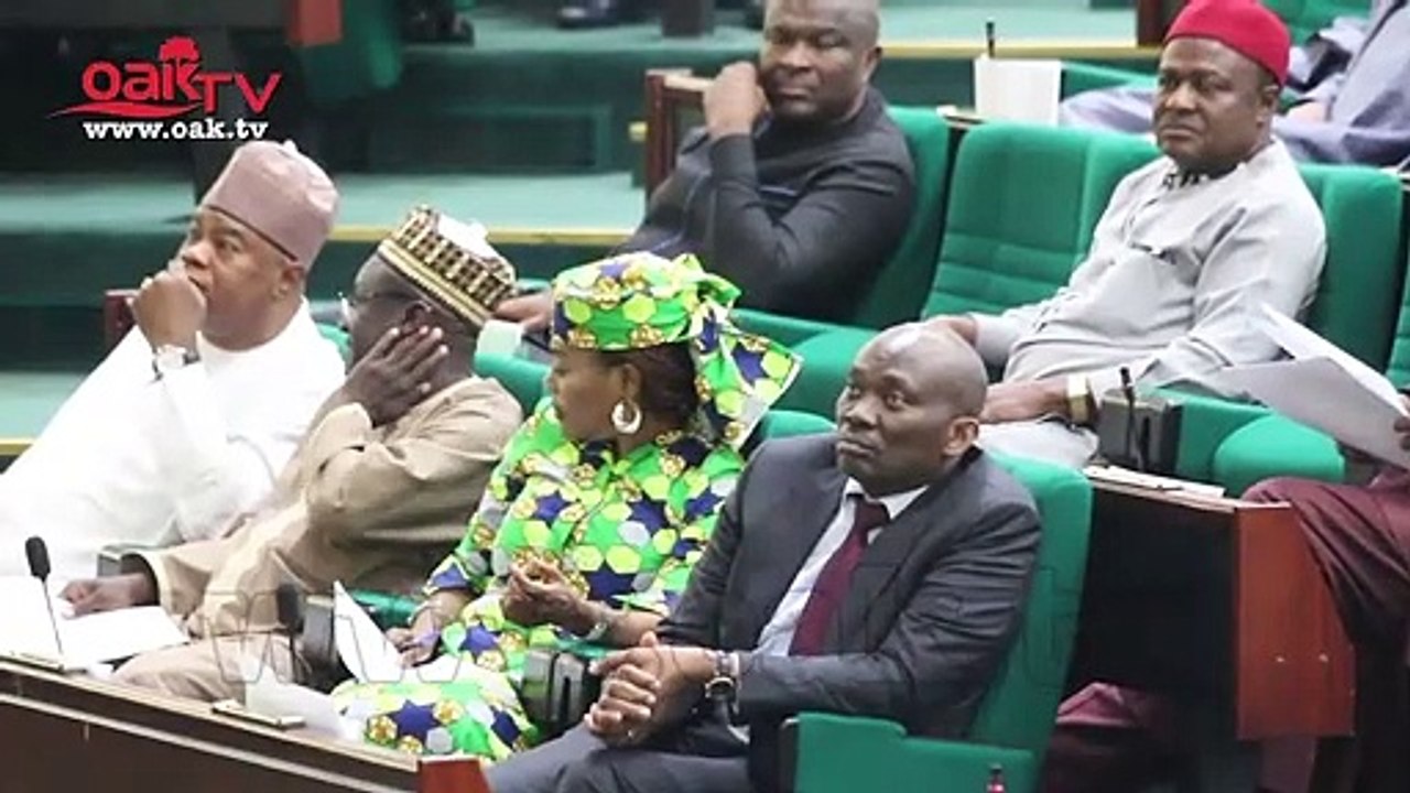 Rep blows hot, punish agencies responsible for US visa ban