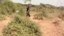 Impressionnante invasion de criquets en Afrique de l’Est