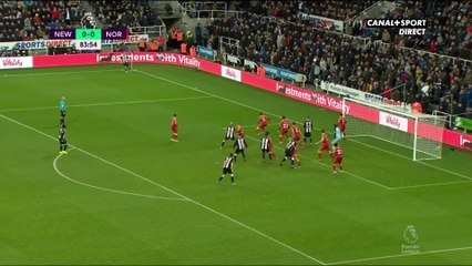 Le résumé de Newcastle / Norwich - Premier League