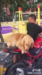 Los Mejores Videos De Risa Try Not To Laugh Funny Fails Videos 2020 #46