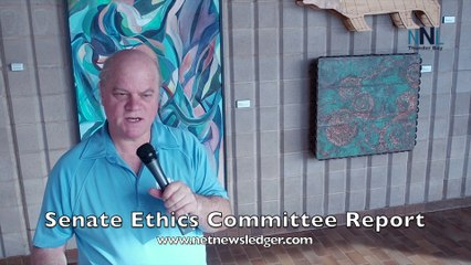 Senator Lynn Beyak Faces Suspension