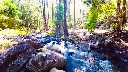 Nirvana Retreat - The one stop solution for those who wants to be in nature's lap.