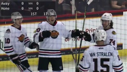 Game Recap - Toledo Walleye at Indy Fuel