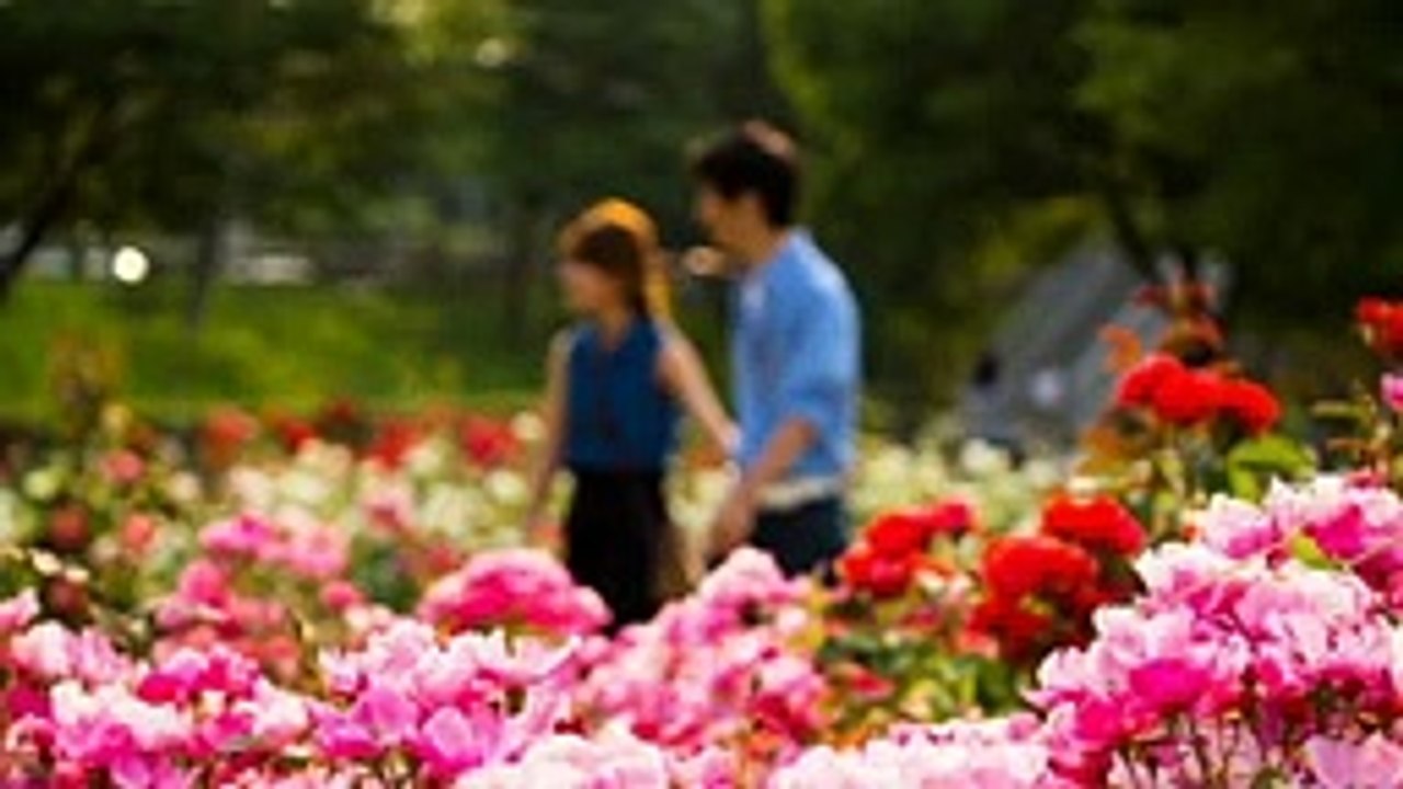 Ya no soy tu flor