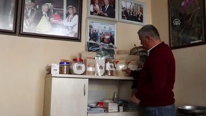 Toroslar'ın yabani orkidesinden hazırlanan Bucak salebine ilgi artıyor