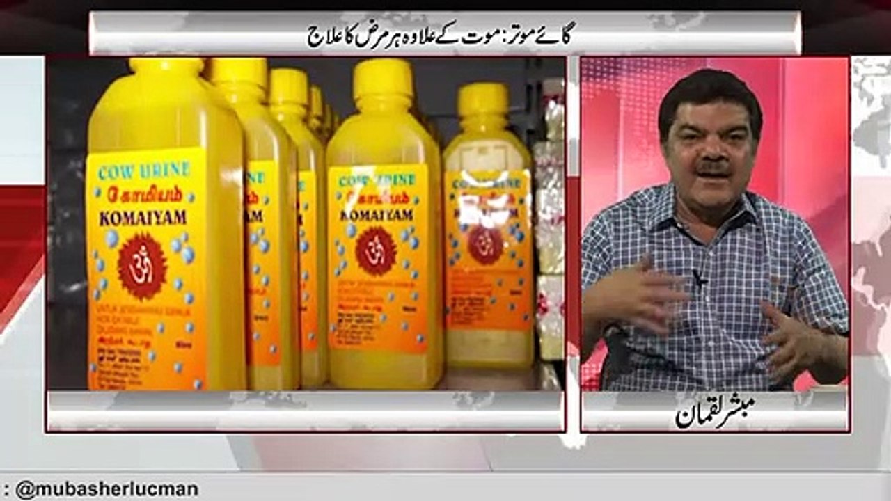 Cow urine Magic -گائے موتر- موت کے علاوہ ہر مرض کا علاج۔۔۔ - YouTube