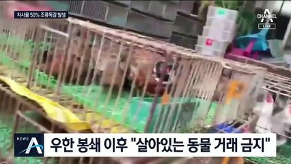 이 와중에 조류독감까지…“재래시장이 바이러스 저수지”