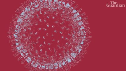 What Is Coronavirus? Understanding the Virus Behind the Pandemic 🌍