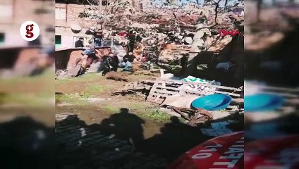 Yiyecek bulamayan domuzlar, markete girdi