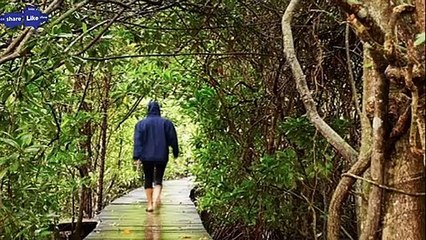 सुबह पैदल चलने के फायदे। Health benefits of morning walking।