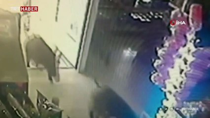 Aç kalan domuz sürüsü markete daldı